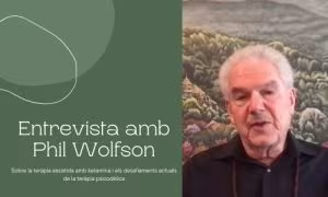 Phil Wolfson en una entrevista sobre els reptes actuals de la teràpia psicodèlica