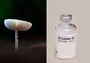 White mushroom beside a vial of injectable medication