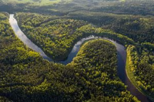 Aerial view of a river winding through forests
