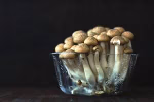 Bouquet de champignons à chapeau brun dans un bol en verre