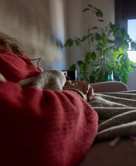 Person lying on a sofa under a red blanket, plants in the background